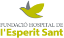 Logo Fundació Hospital Esperit Sant