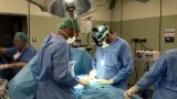 La Fundació Puigvert i l'Ospedale Cisanello italià protagonitzen el primer trasplantament renal creuat internacional del sud d'Europa