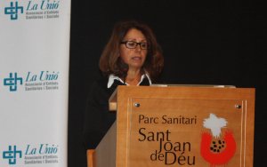 Alicia Ávila, Plenari de Directius Assistencials