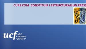 UCf ofereix el curs ‘Com construir i estructurar un ERESS’