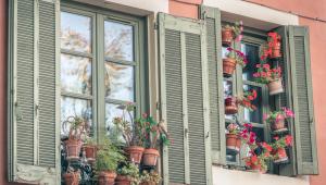  Conveni Col·lectiu d'empreses d'atenció domiciliària de Catalunya (SAD)