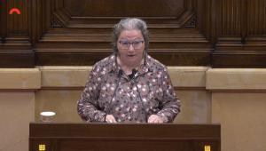 Ple Monogràfic de Salut Mental