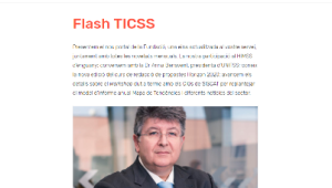 Newsletter Flash TICSS