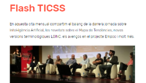 Newsletter Flash TICSS