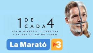 Ajuts concedits per La Marató de TV3 2015