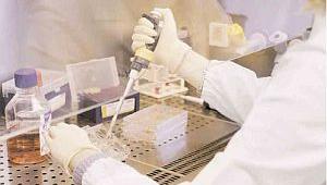 Els investigadors biomèdics de centres catalans entre els millors del món