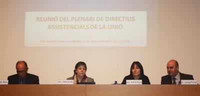 Plenari Directius Assistencials