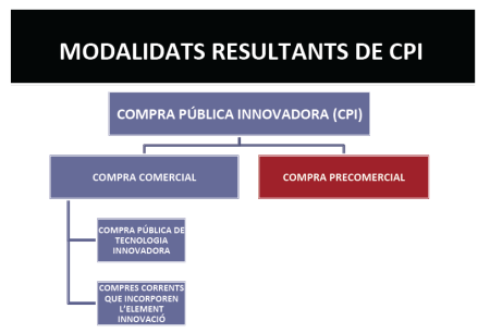 compra pública innovadora, Neus Colet,