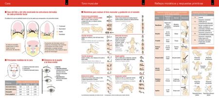 Tríptico interior libro Neurología neonatal