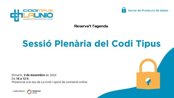 Banner sessió plenària codi tipus