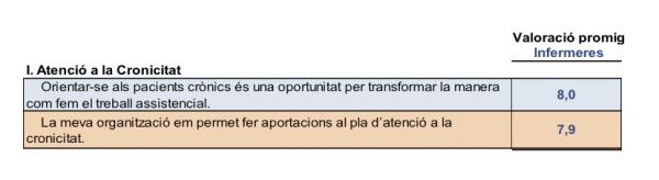 grups focals, debat professionals, programa cronicitat, infermeres, resultats quantitatius