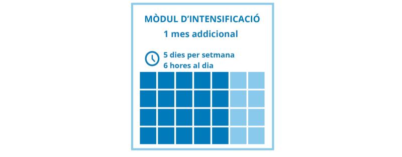 Intensiva