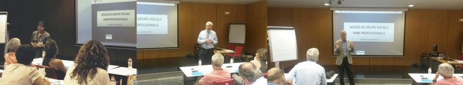 grups focals, debat professionals, 2014