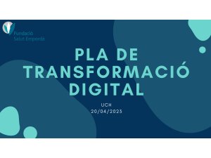 TIC Pla Transformació Digital FSE