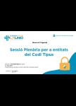 Programa sessió codi tipus, 3 de desembre