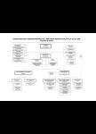 Estructura CatSalut