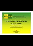 presentació consell participació